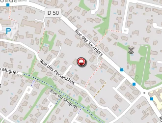 Carte de Mennefile Caroline à Landeronde