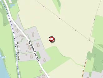 Carte de Perraut Christian à Branges