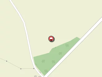 Carte de Nys Michel à Martinet