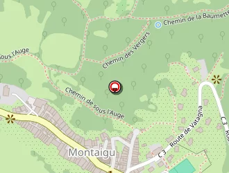 Carte de Gsbp à Montaigu