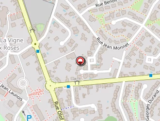 Carte de Rayamis à Roche-sur-yon (la)