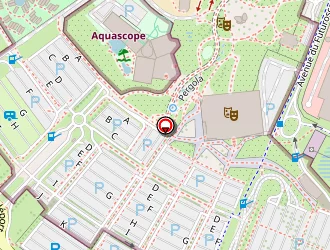 Carte de Oliphil à Chasseneuil-du-poitou