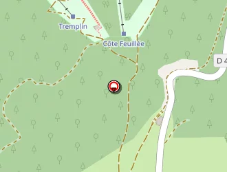 Carte de Sauvonnet Paul à Chaux-neuve