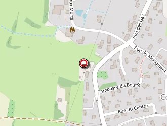 Carte de Turin Christophe à Courlaoux