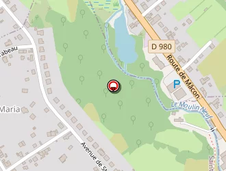 Carte de Durdu Leman à Saint-vallier