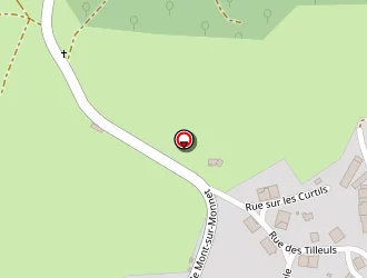 Carte de Mairie à Saffloz