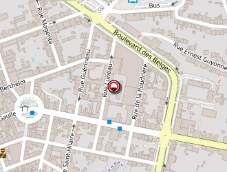 Carte de Fuzz Yon à Roche-sur-yon (la)