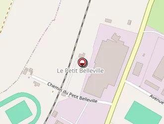 Carte de Terrain Multiactivité à Châtillon-sur-thouet