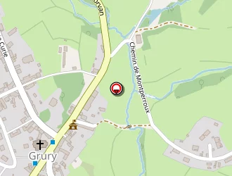 Carte de Taxi Sarasin à Grury