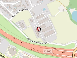 Carte de Vigicell à Roche-sur-yon (la)