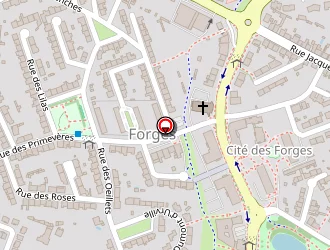 Carte de Devineau à Roche-sur-yon (la)