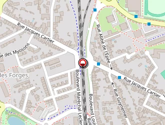 Carte de Guiet Elodie à Roche-sur-yon (la)