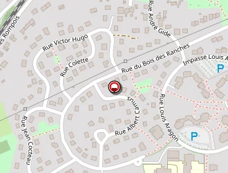 Carte de Jaillot Patrick à Blanzy