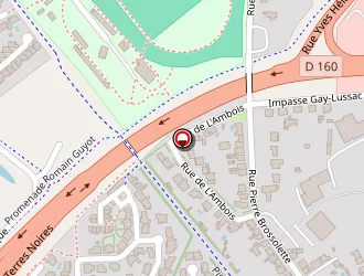 Carte de Lycée Saint Louis à Roche-sur-yon (la)