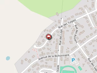 Carte de Butet Patrick à Viennay