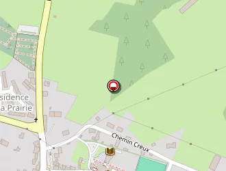 Carte de Les Fleurs Velloises à Velles