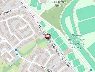 Carte de Bouton David à Roche-sur-yon (la)