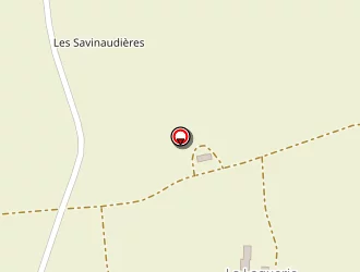 Carte de De Lencquesaing Guillaume à Chantonnay