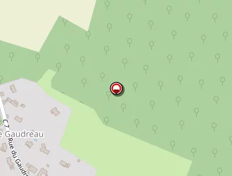 Carte de Mary Patrick à Dissay