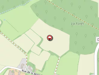 Carte de Gallet Frédérique à Juif