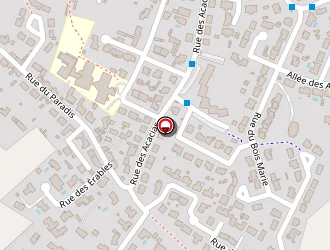 Carte de Chaillot Céline à Coëx