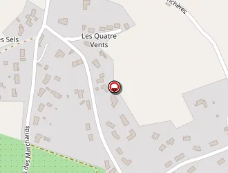 Carte de Sylvie Esthéticienne à Domicile à Viennay