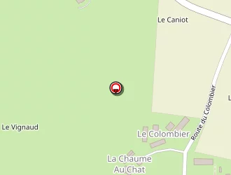 Carte de Rivet Michelle à Marçais