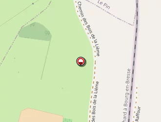 Carte de Compagnon à Pannessières