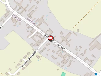 Carte de Manceau Jean Pierre à Charrais