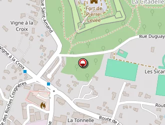 Carte de Régis Doux à Île-d'yeu (l')