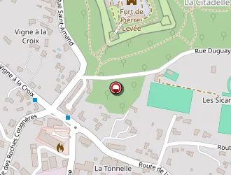 Carte de Garage Charuau Gaël à Île-d'yeu (l')