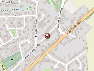 Carte de Babu à Ferrière (la)