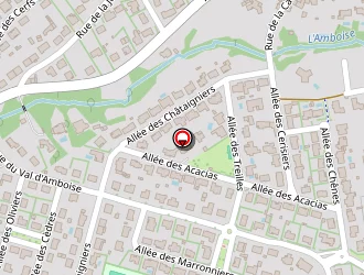 Carte de Oceane Automobile à Mouilleron-le-captif