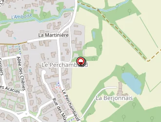 Carte de Ferrari Trident  Réparateur Agréé à Roche-sur-yon (la)