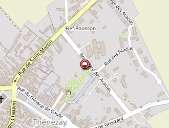 Carte de Fleurs T' à Thénezay