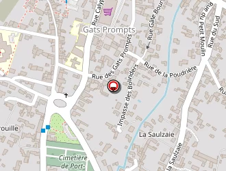 Carte de Semelin Jacques à Île-d'yeu (l')