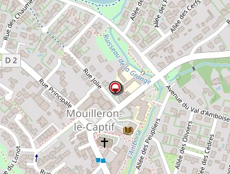 Carte de Amiaud Fréderic à Mouilleron-le-captif