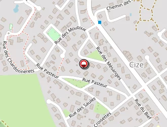 Carte de Le Mikado à Cize