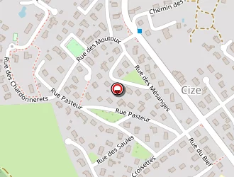 Carte de Allozaure Pizz à Cize