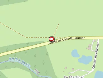 Carte de Roche Arnaud à Ney