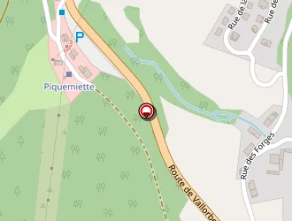 Carte de Douanes à Jougne