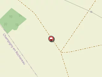 Carte de Foy Ludovic à Champigny-le-sec