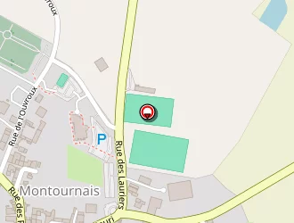 Carte de Alamodis à Montournais