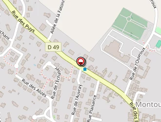 Carte de Longchamp à Montournais