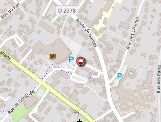 Carte de Macquigneau Lucie à Aizenay