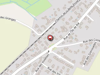 Carte de Pineau Cédric à Notre-dame-de-riez