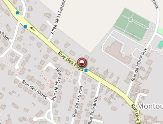 Carte de Ecole Privée à Montournais