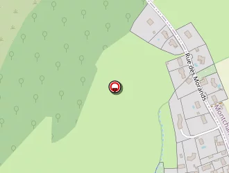 Carte de Guarro Moïse à Montchanin