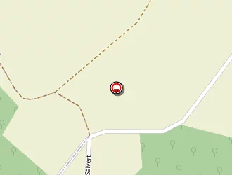 Carte de Girault Alain à Roche-posay (la)