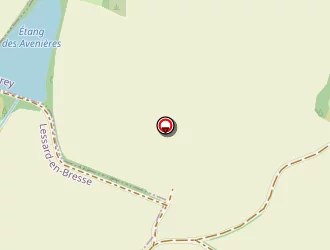 Carte de Grondin Michel à Lessard-en-bresse